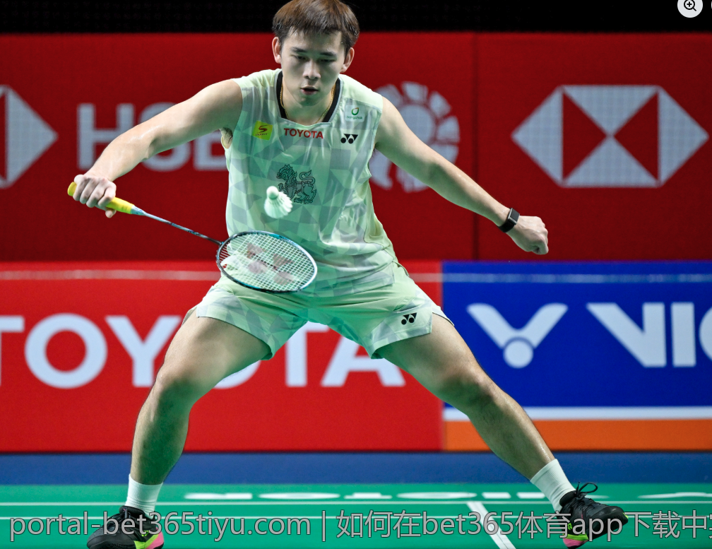 如何在bet365体育app下载中实现高效投注